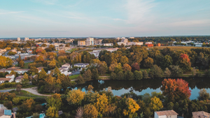 Traitement punaises de lit Cergy